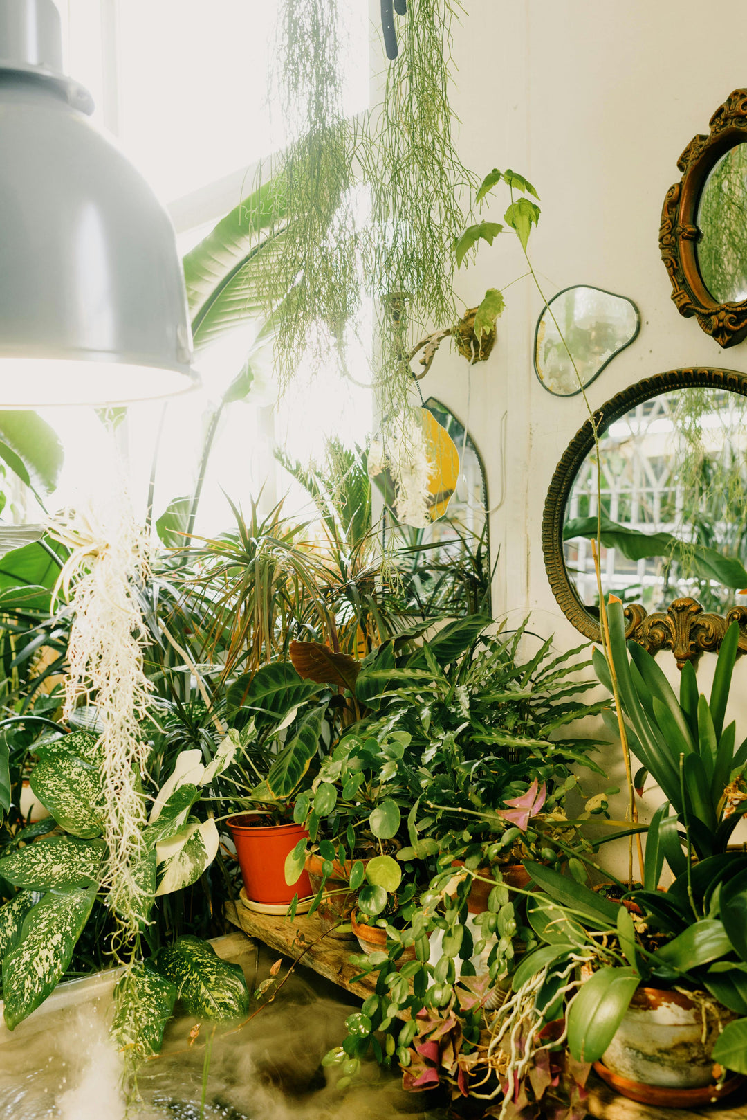 Bringing Nature Indoors: The Art and Science of Biophilic Design Decor & Furniture
