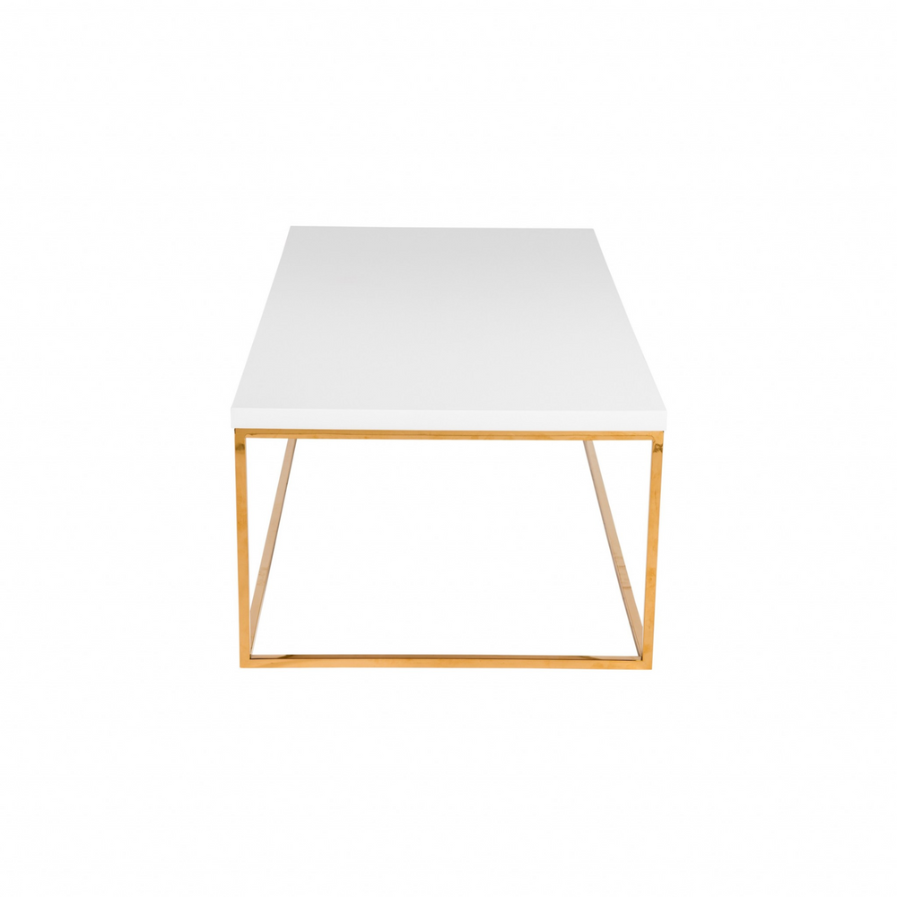 Boho Aesthetic "White and Gold High Gloss Coffee Table" | Biophilic Design Airbnb Decor Furniture 