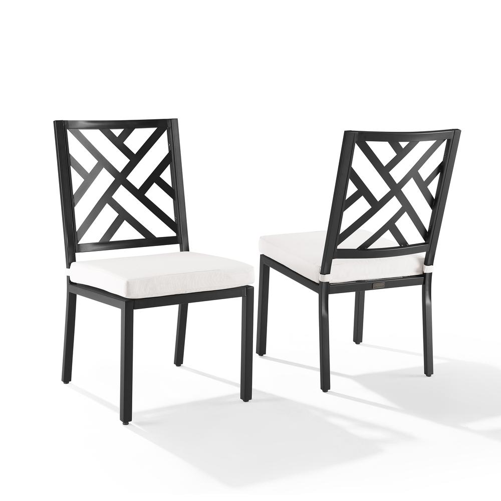 Boho Aesthetic Locke 2Pc Outdoor Metal Dining Chair Set | Biophilic Design Airbnb Decor Furniture 