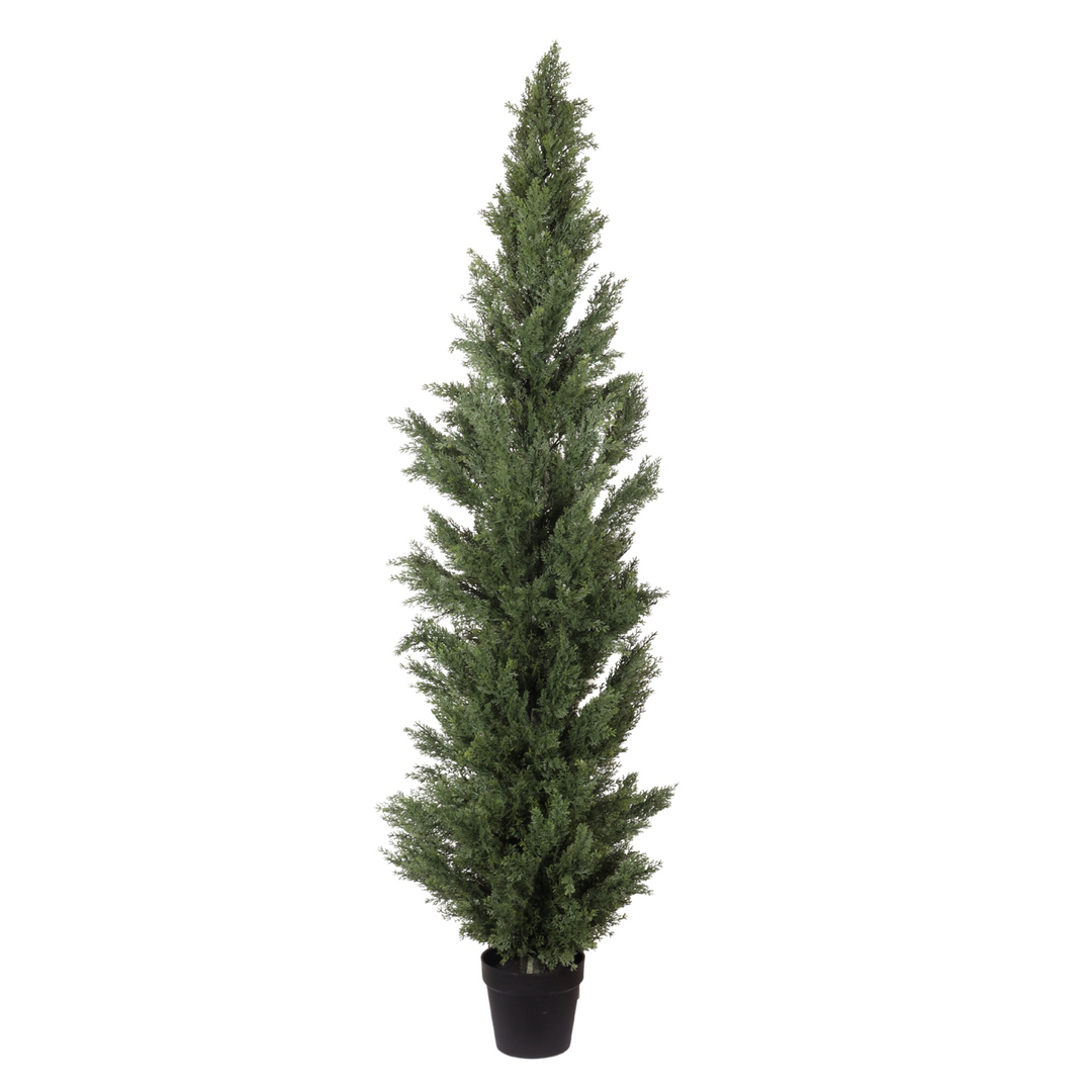 Tall Artificial Mediterranean Italian European Cypress Tree in a Black Plastic Pot - Mediterranean Italian Contemporary Home Decor Furniture