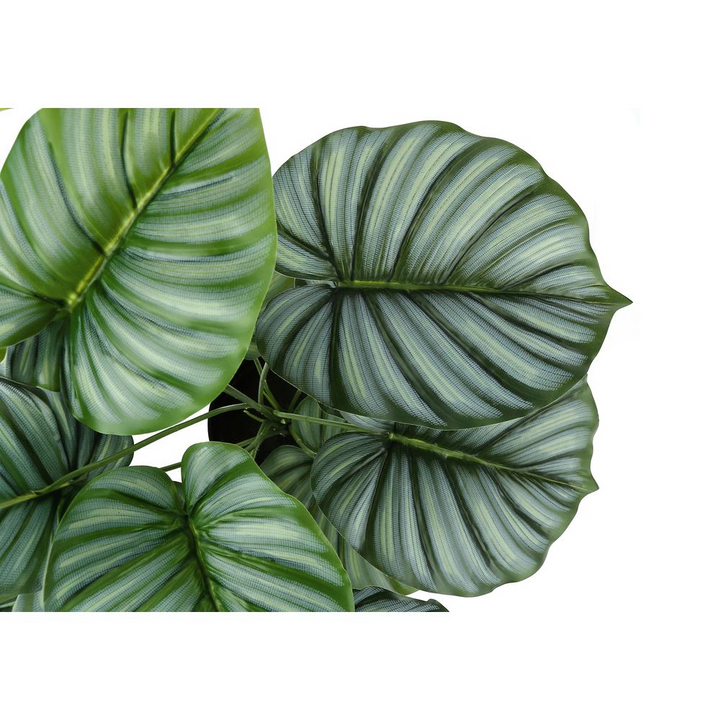 Boho Aesthetic Artificial Plant, 24 Tall, Calathea, Indoor, Faux, Fake, Table, Greenery | Biophilic Design Airbnb Decor Furniture 