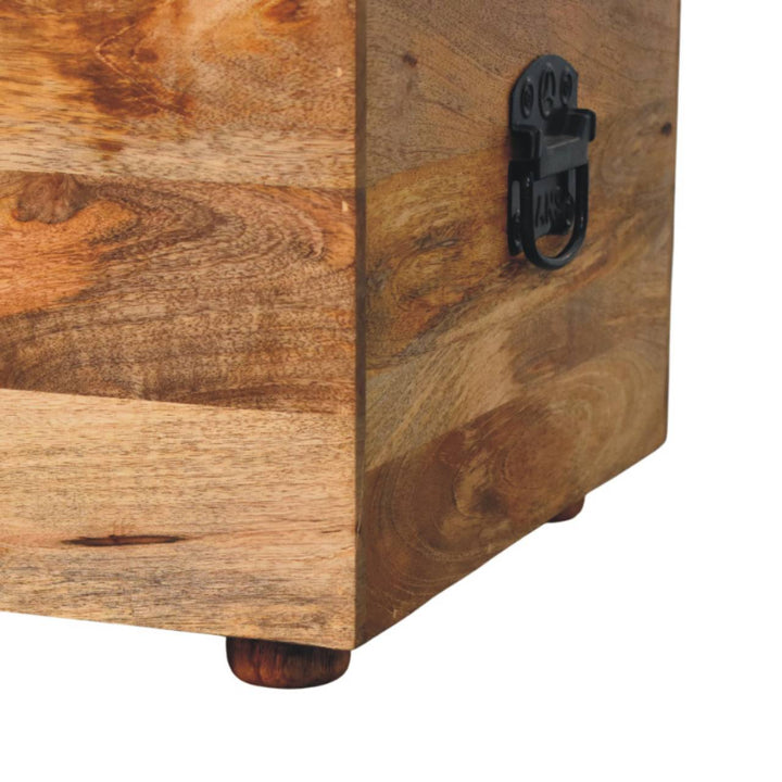 Beige Buffalo hide leather Storage Trunk - Mediterranean Tuscan Contemporary Home Decor Furniture