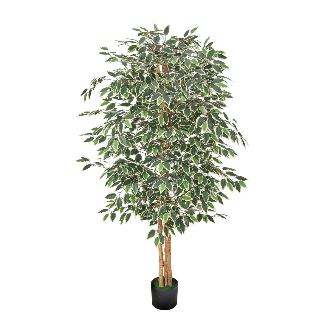 tall faux indoor plants 6FT Artificial Ficus Tree with Black Pot, Tall Faux Ficus Plant with N – Artisan & Blooms