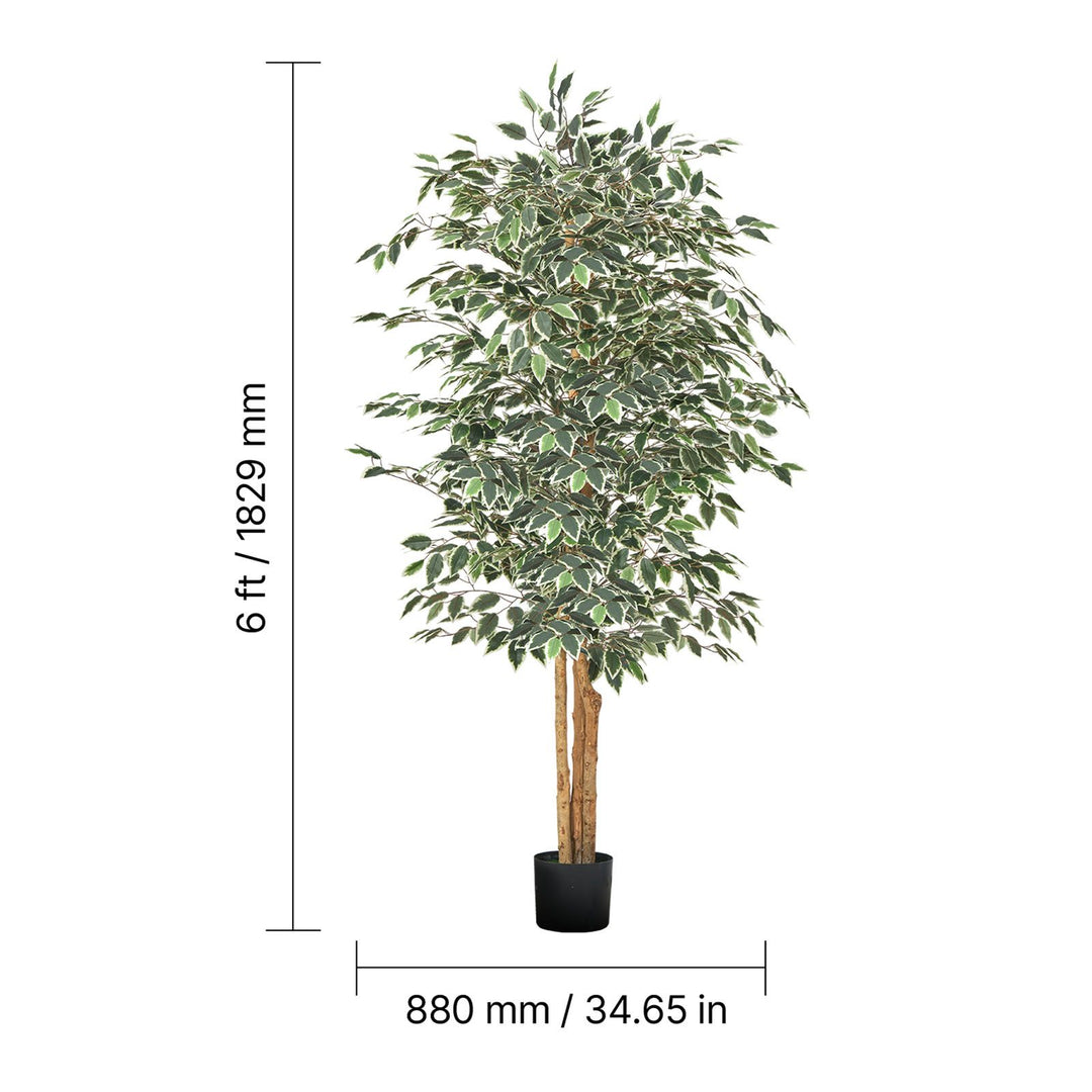 6FT Artificial Ficus Tree with Black Pot, Tall Faux Ficus Plant with N ...